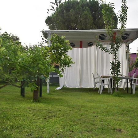 Bed and Breakfast Sa Mariposa Muravera Exterior foto
