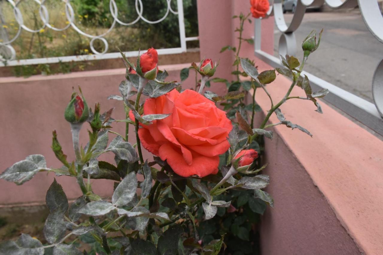Bed and Breakfast Sa Mariposa Muravera Exterior foto