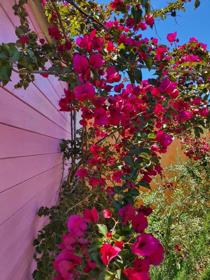 Bed and Breakfast Sa Mariposa Muravera Exterior foto